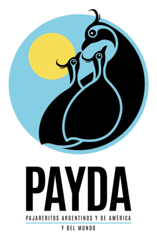PAYDA